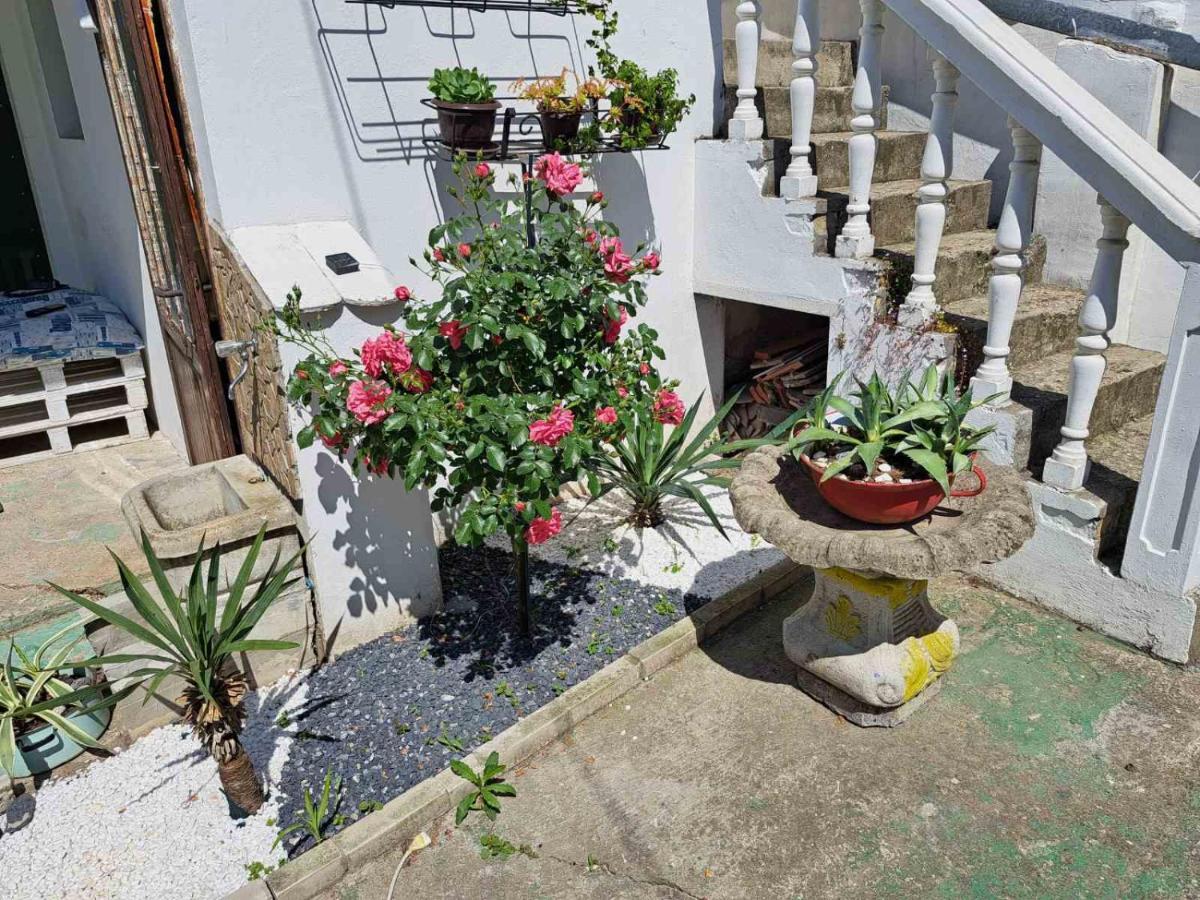 Stefan Apartman โนวีซาด ภายนอก รูปภาพ